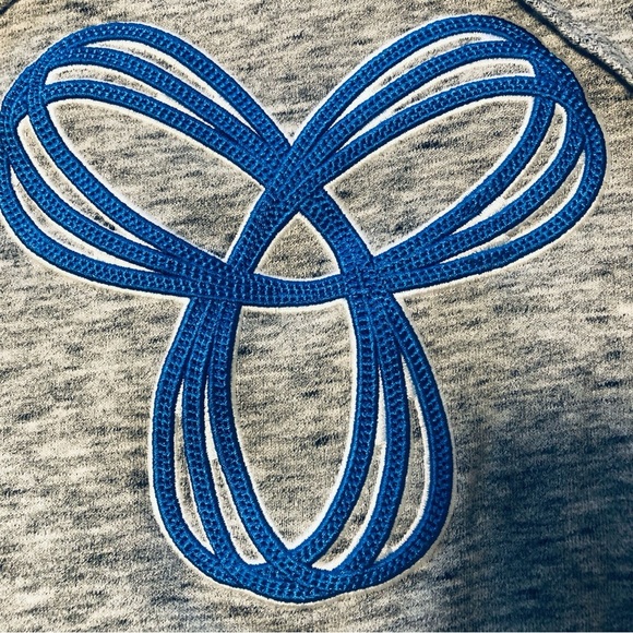 Aritzia TNA XS BalticPullover Hoodie Grey with Blue Embroidered Logo Cozy - Picture 3 of 9